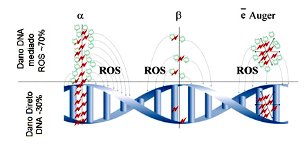 Ed009 A Fig02