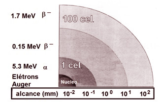 Ed009 A Fig03