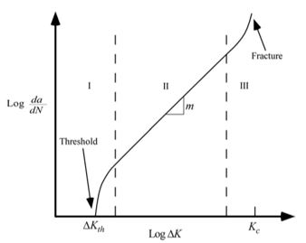 Ed12 B fig002