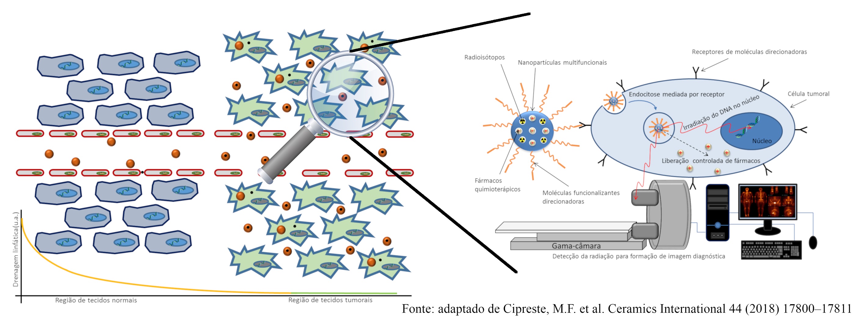 Nanomedicina Teranóstica